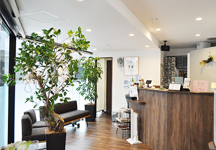 新宿西口駅徒歩2分のマーレデンタルクリニック - 専門的な除菌治療で安心の歯科医療