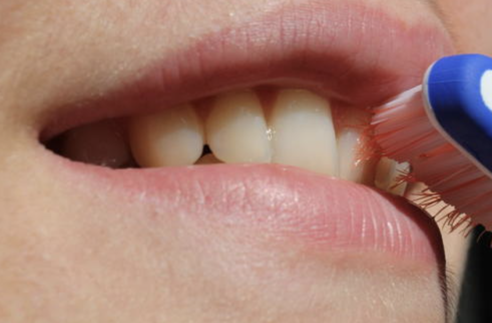 患者様が一生涯、自分の歯で健康な生活を送れるよう、予防歯科に取り組んでいます