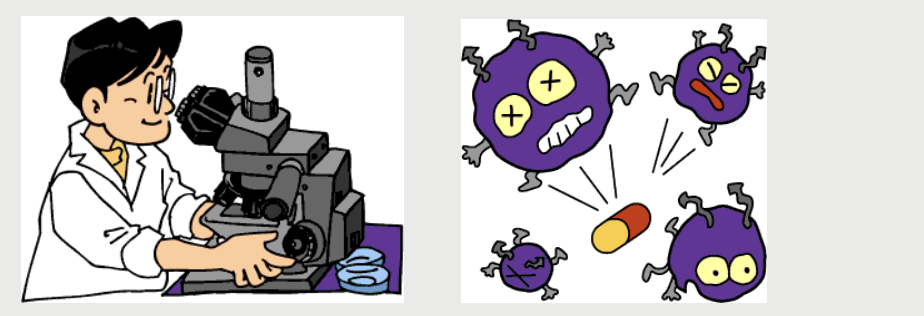 内服薬や専用の歯磨き剤を使用することで、細菌の数を減らし、歯周病の改善を目指します