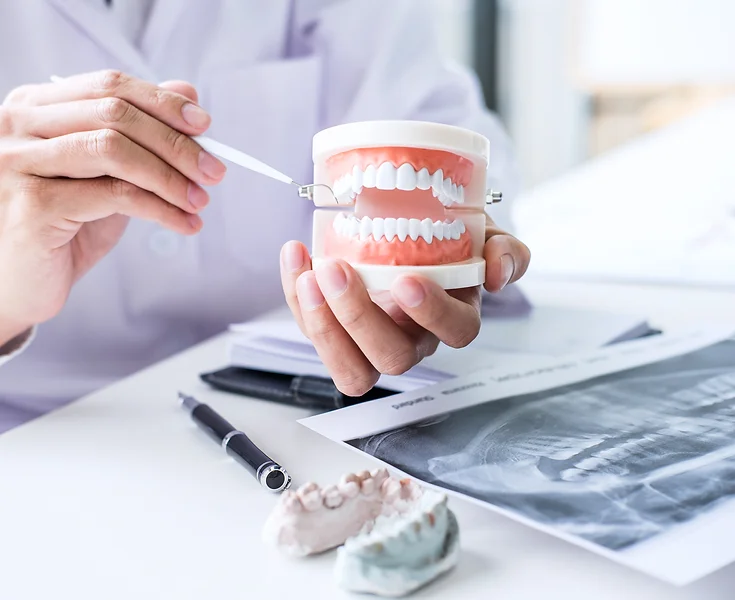 お口の健康維持をサポートします