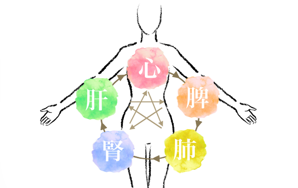 患者様の口腔の健康を守り豊かな生活を支えています