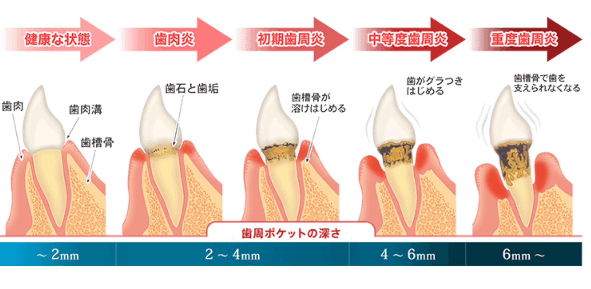 あなたの口腔の健康を取り戻すために、全力でサポートいたします。