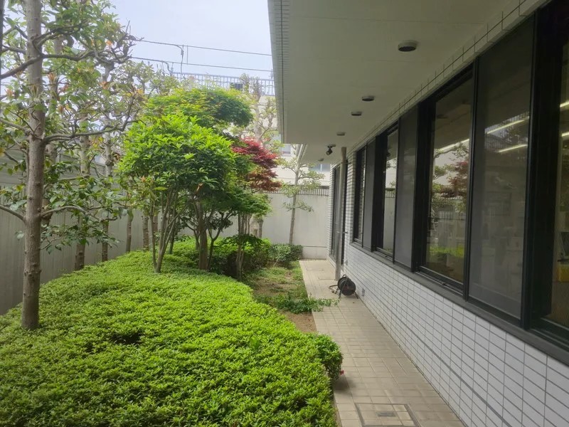 診療室から自然が多く目に入っています