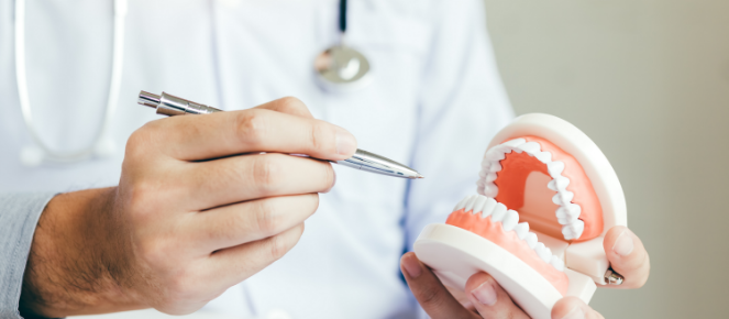 審美顎を大看板に掲げます