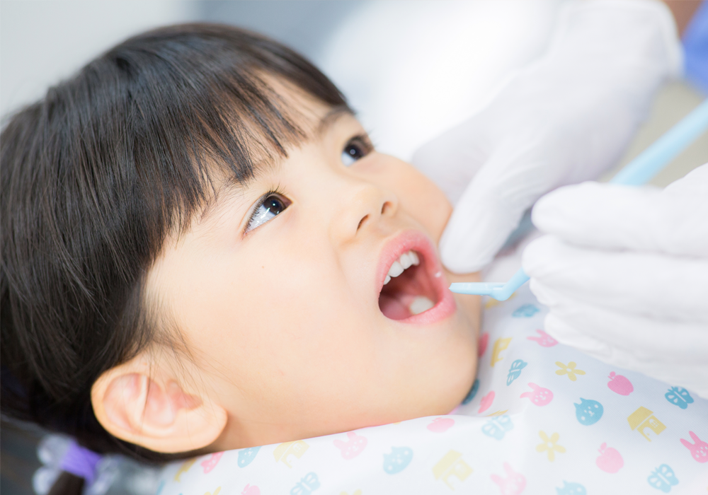 ※画像はイメージです。