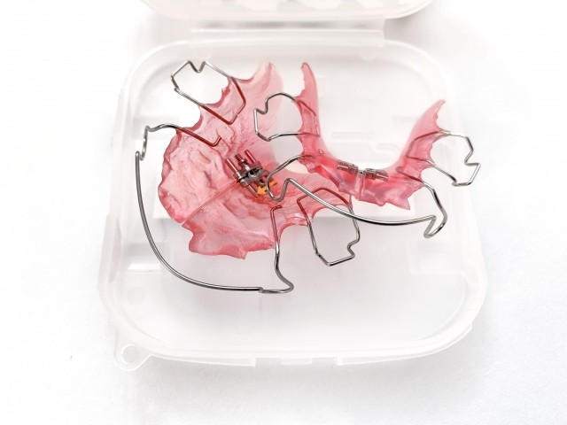 写真はイメージです