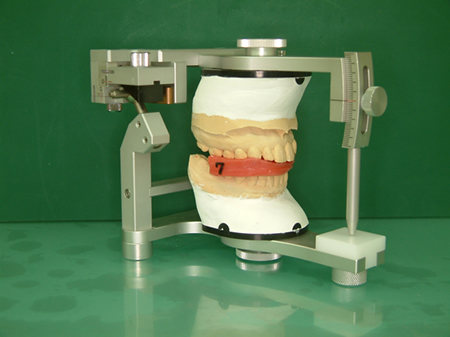 咬合器（噛み合せを再現する医療機器）