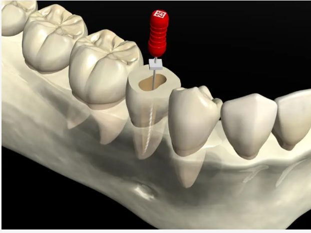 臨床研修指導医の資格を持つ経験豊富な歯科医師が対応します