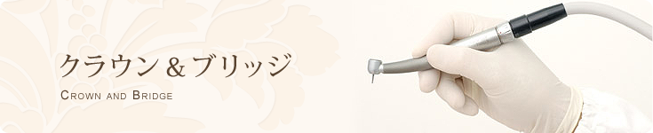 損傷した歯や失った歯を補い、口腔の機能や審美性を回復するための治療法です