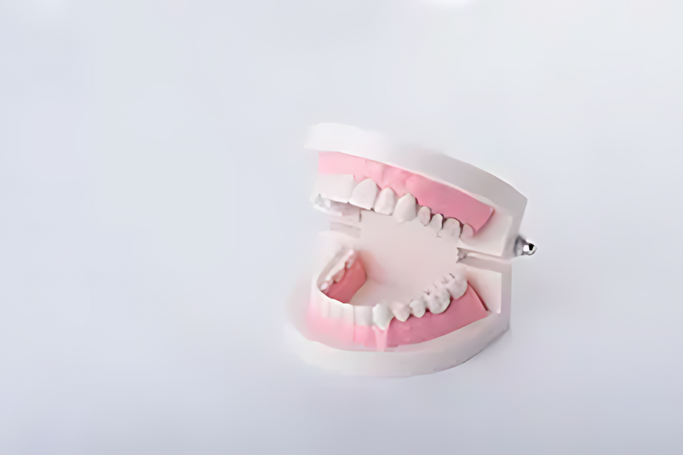 全身の健康を考慮した包括的アプローチと長期的な口腔ケアの実現