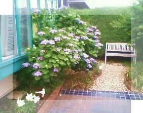 患者様の不安や恐怖を理解し、少しでも和らげることが私たちの使命です。