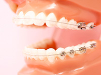 どんなことでもお気軽にご相談ください