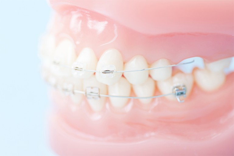 美しく機能的なお口を目指しましょう