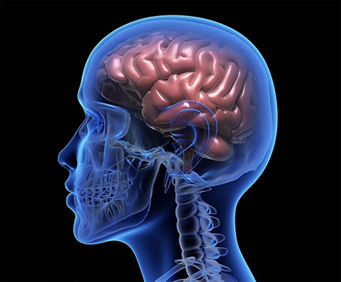 顎関節症を専門とした外来を設け、単なる顎の痛みや開閉障害だけでなく、全身に広がる不調との関連性に着目した治療を行っています。