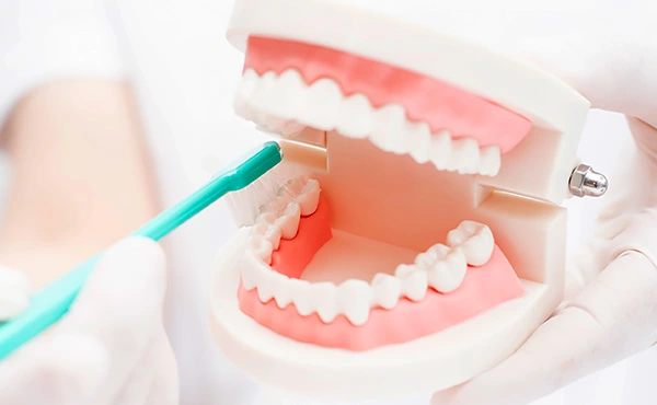 一生涯の歯の健康は予防から。プロとともに歩む口腔ケアの道