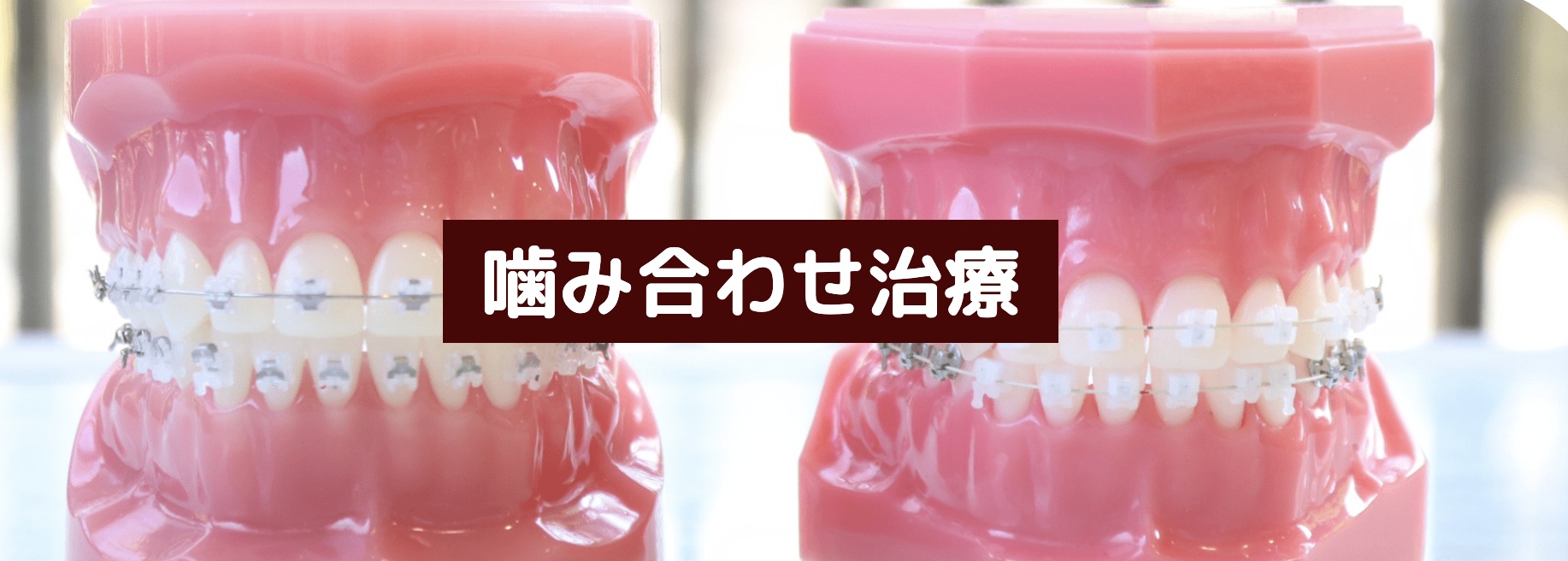 診断から治療、アフターケアまで、患者様の歯の健康を包括的に支えることを大切にしています