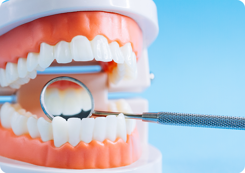 適切なケアのやり方をアドバイスしています