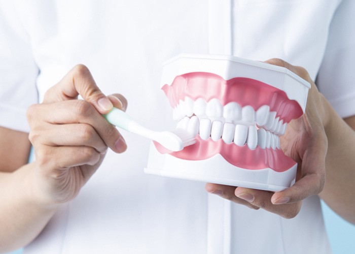 【IRいしかわ鉄道線 小松駅 車で10分】病院歯科として全身疾患に配慮した診療を行うやわたメディカルセンター歯科