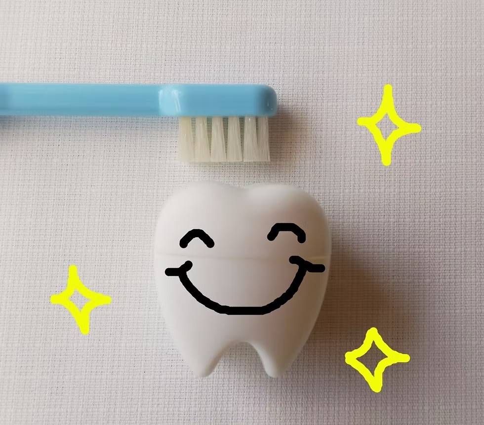 定期検診をご活用下さい