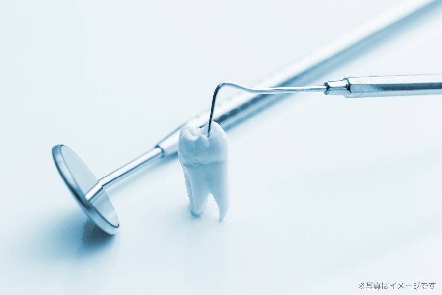 ※画像はイメージです