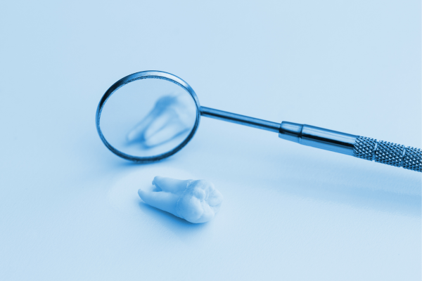 ※画像はイメージです