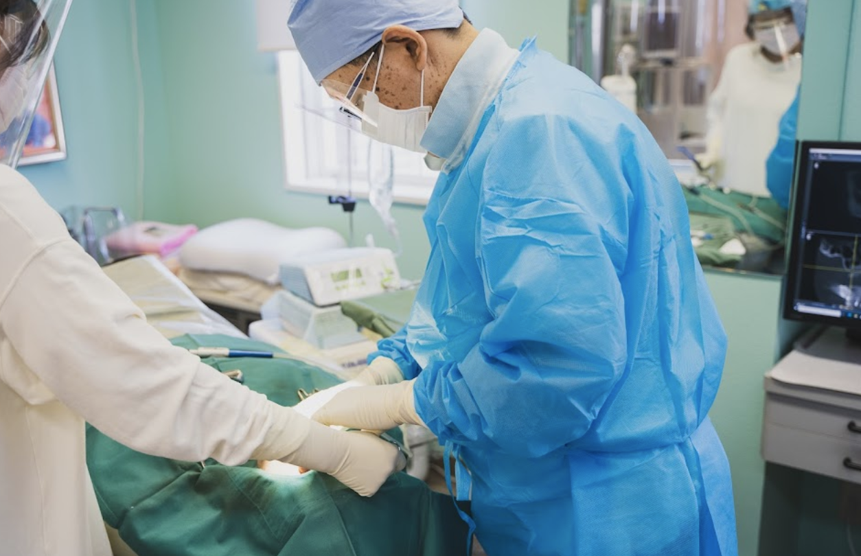 即日治療の様子