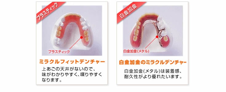ミラクルデンチャーを取り扱っています