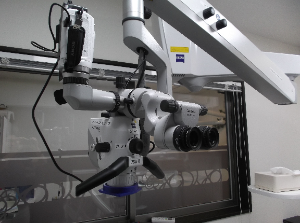 歯の根の病気に対して精密な根管治療を行い、できるだけ歯を残すことを目指しています