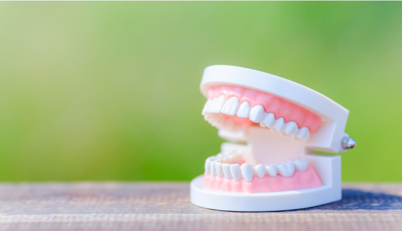 摂食・嚥下に精通している院長がこだわる入れ歯治療