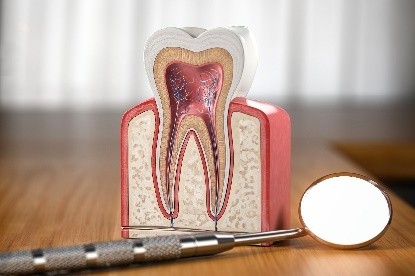 ※画像はイメージです。