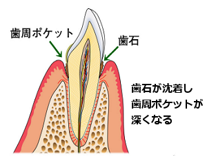 患者様ごとの状態に合わせた丁寧な診断と治療が行われています