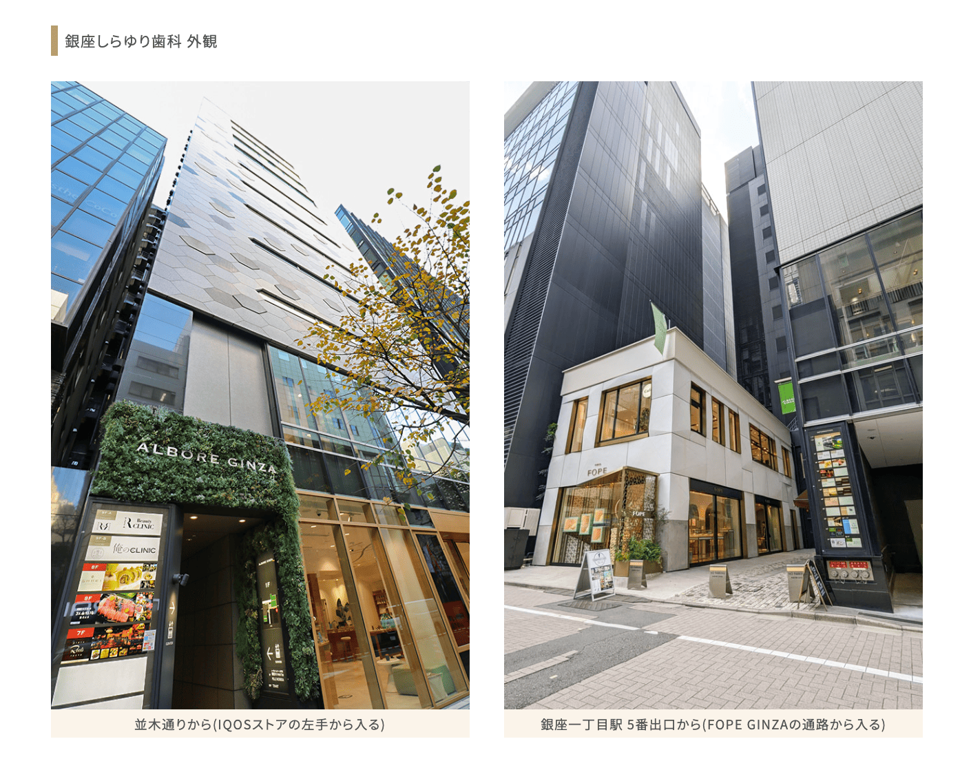 【歯内療法認定医 在籍】【土日診療】銀座一丁目駅徒歩すぐ 精密治療で患者様を支える銀座しらゆり歯科