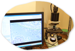 位相差顕微鏡で口腔内の汚れを詳細にチェック