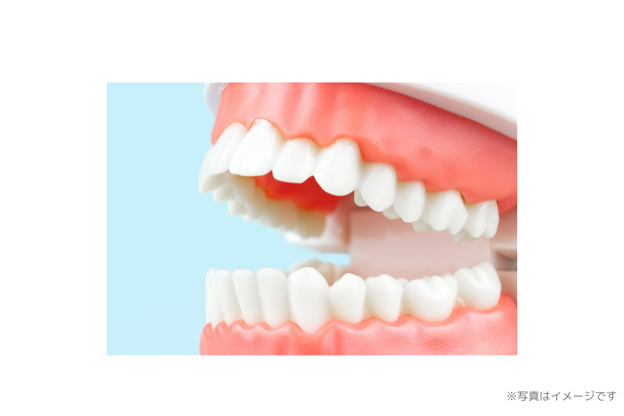 正しい咬み合わせを整えることを重視し、患者様の健康を支える治療を心がけています