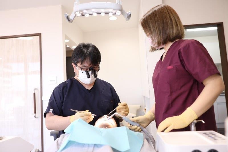 プロによるメンテナンスを受けましょう
