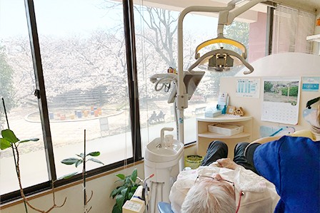 桜の名所の隣で診療を行っています