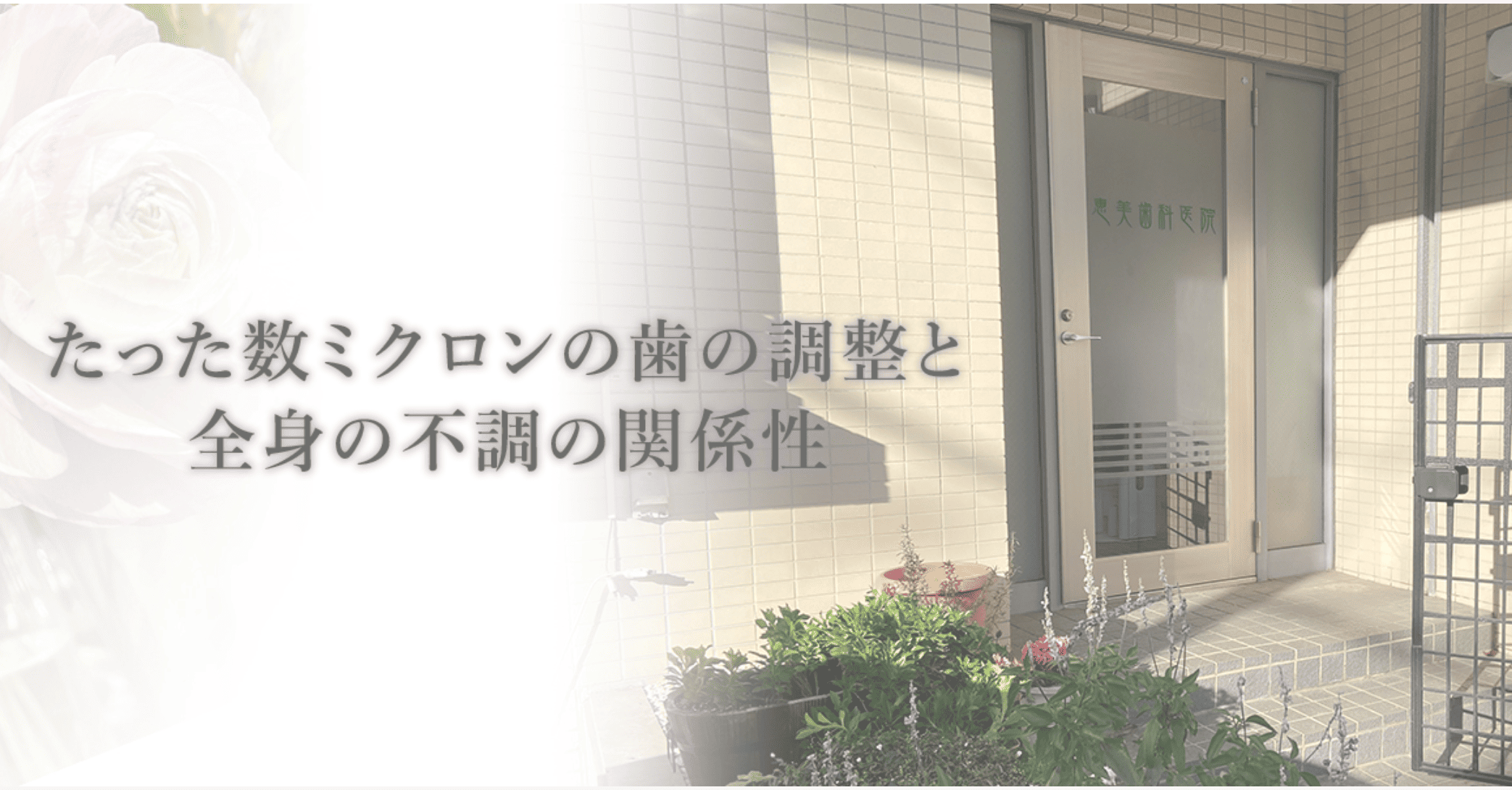 【ホリスティックアプローチ】【ホメオパシー治療】 心と体を癒す、恵美歯科医院のトータルサポート