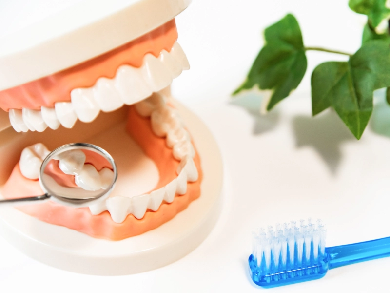 患者様一人ひとりに適した丁寧な治療を提供しています