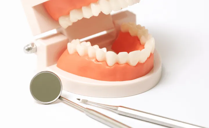 丁寧で高品質なサポート