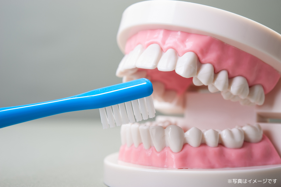 虫歯や歯周病などの疾患を未然に防ぐことを目的に、定期的な口腔内のチェックとケアが行われます