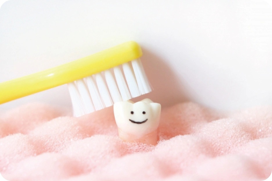 虫歯や歯周病の再発を防ぐだけでなく、患者様が安心して通い続けられる環境が用意されています