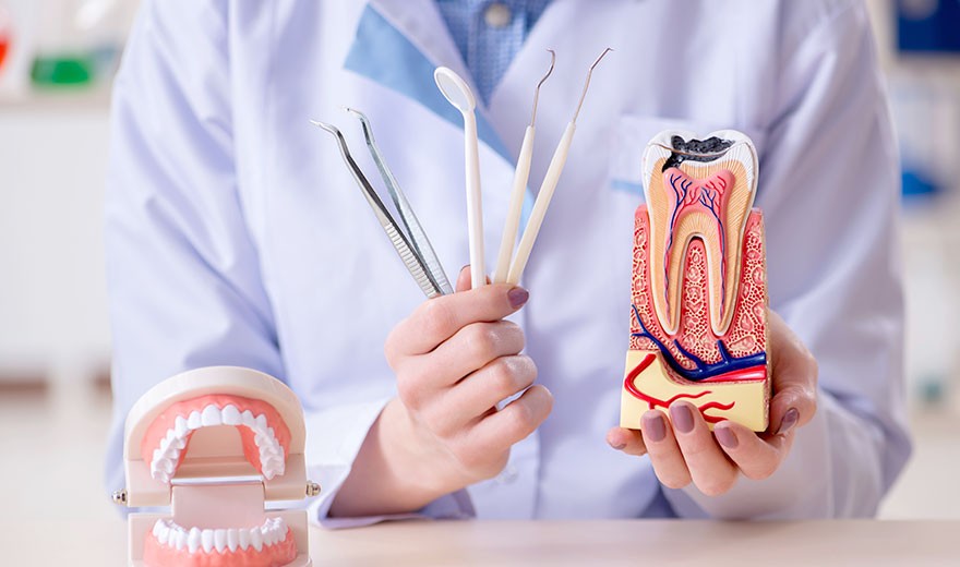 ※画像はイメージです。