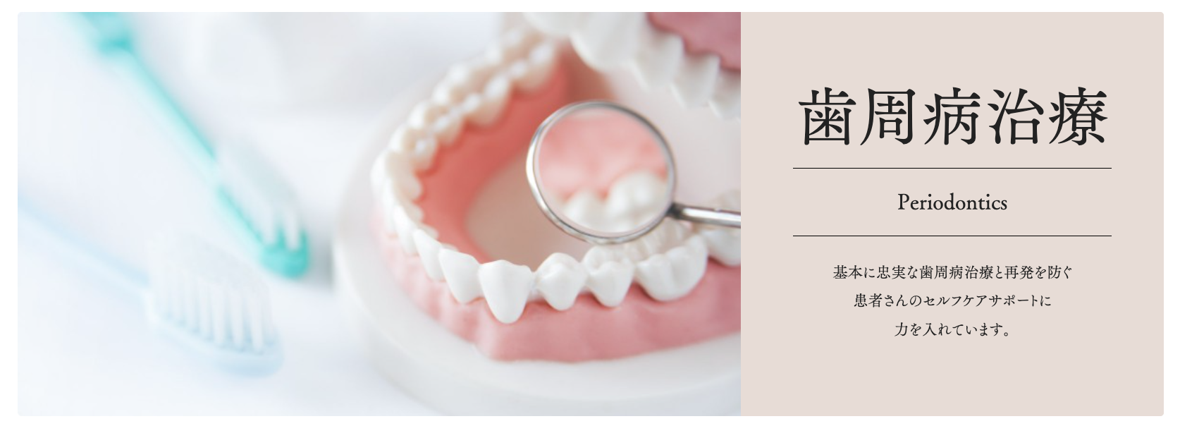 歯周病の早期発見と適切な治療を重視し、歯と歯ぐきの健康を守る診療を行っています