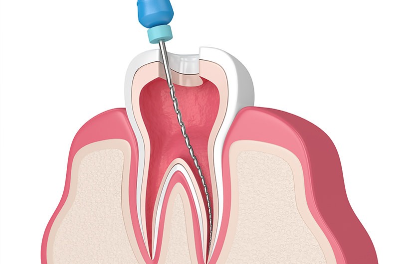 ※画像はイメージです。