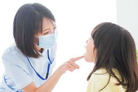 ※画像はイメージです。