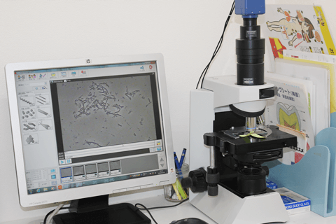 顕微鏡により患者様のお口の中の細菌を調べています