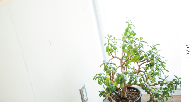 透明なマウスピースで歯を少しずつ動かしています