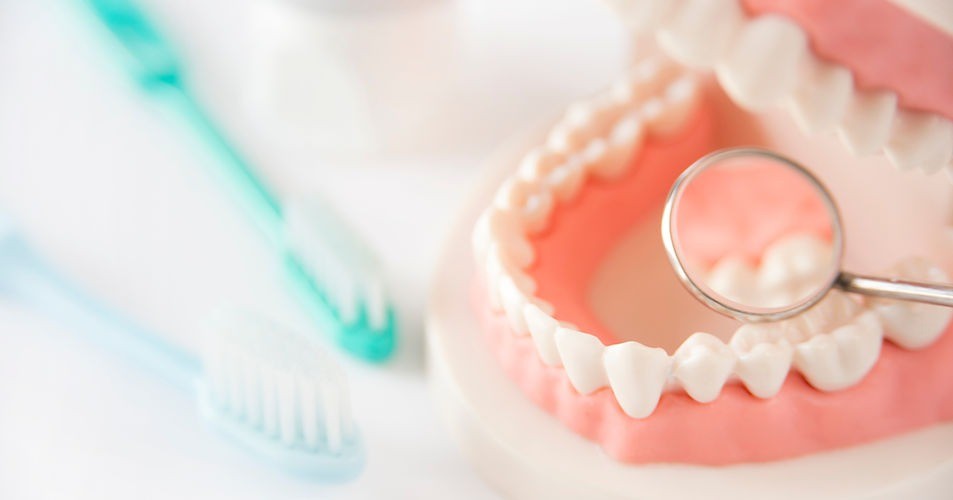 定期的に通院することで、小さな変化や初期の異常に気付きやすくなります。