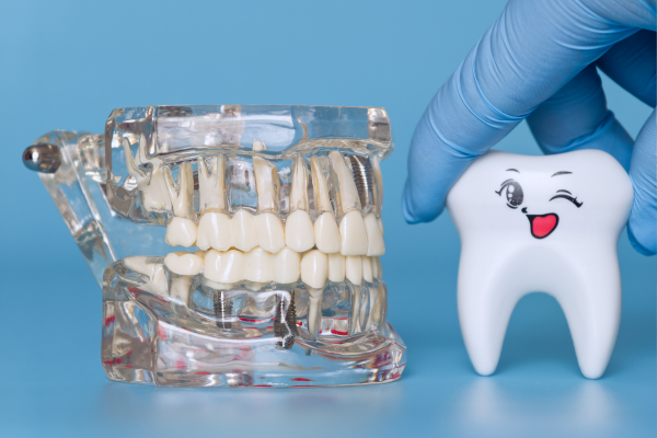 ※画像はイメージです