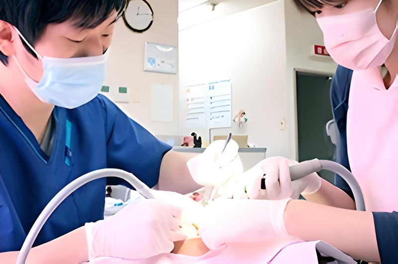 専門的クリーニングと個別化された継続ケアで健康な歯茎を実現